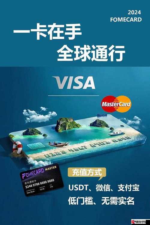 全面解析 JANPENSE VISA：深入解读其特点与优势